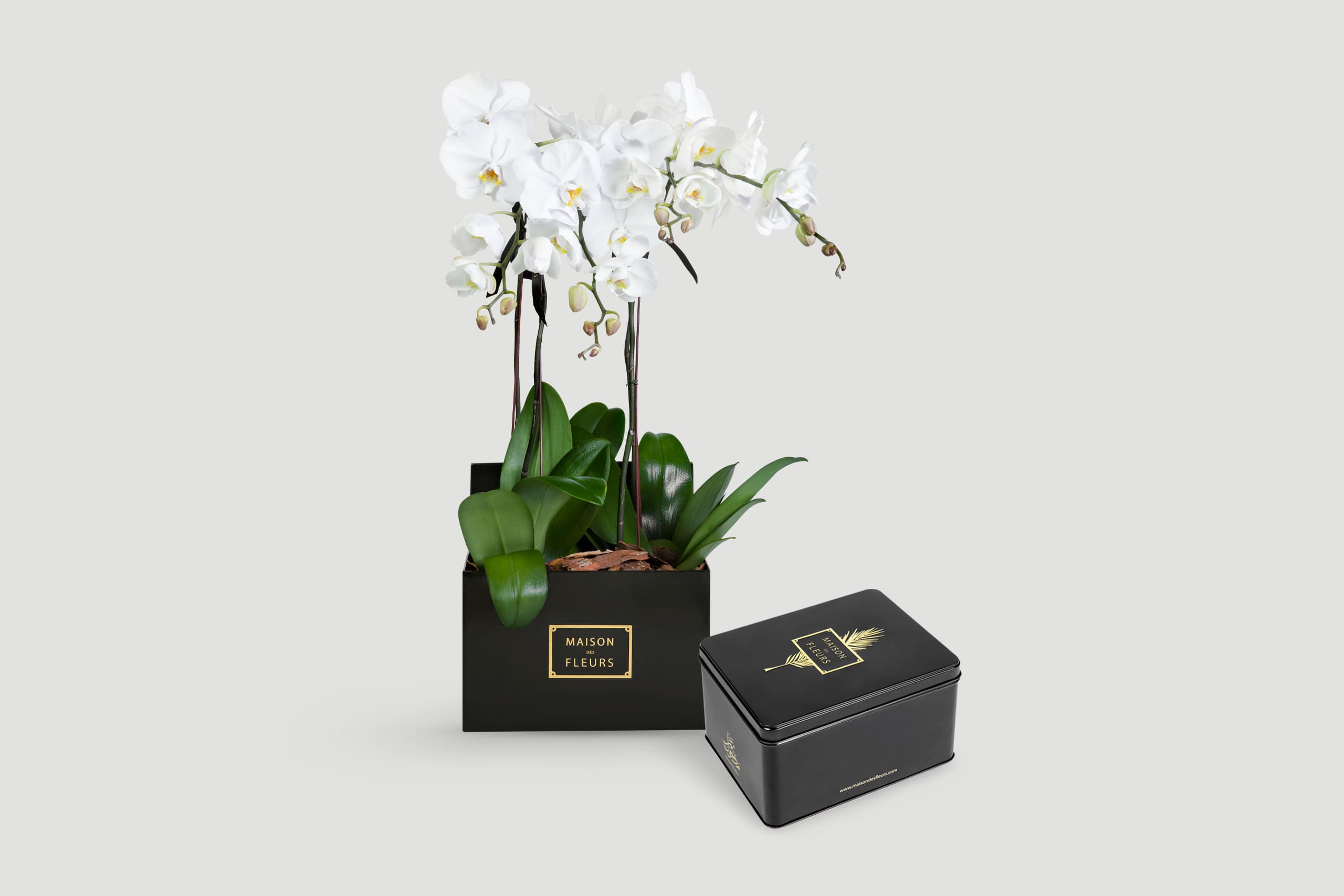 luxury flowers dubai