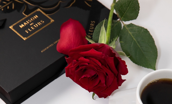 Everything You Need to Know About Flowers