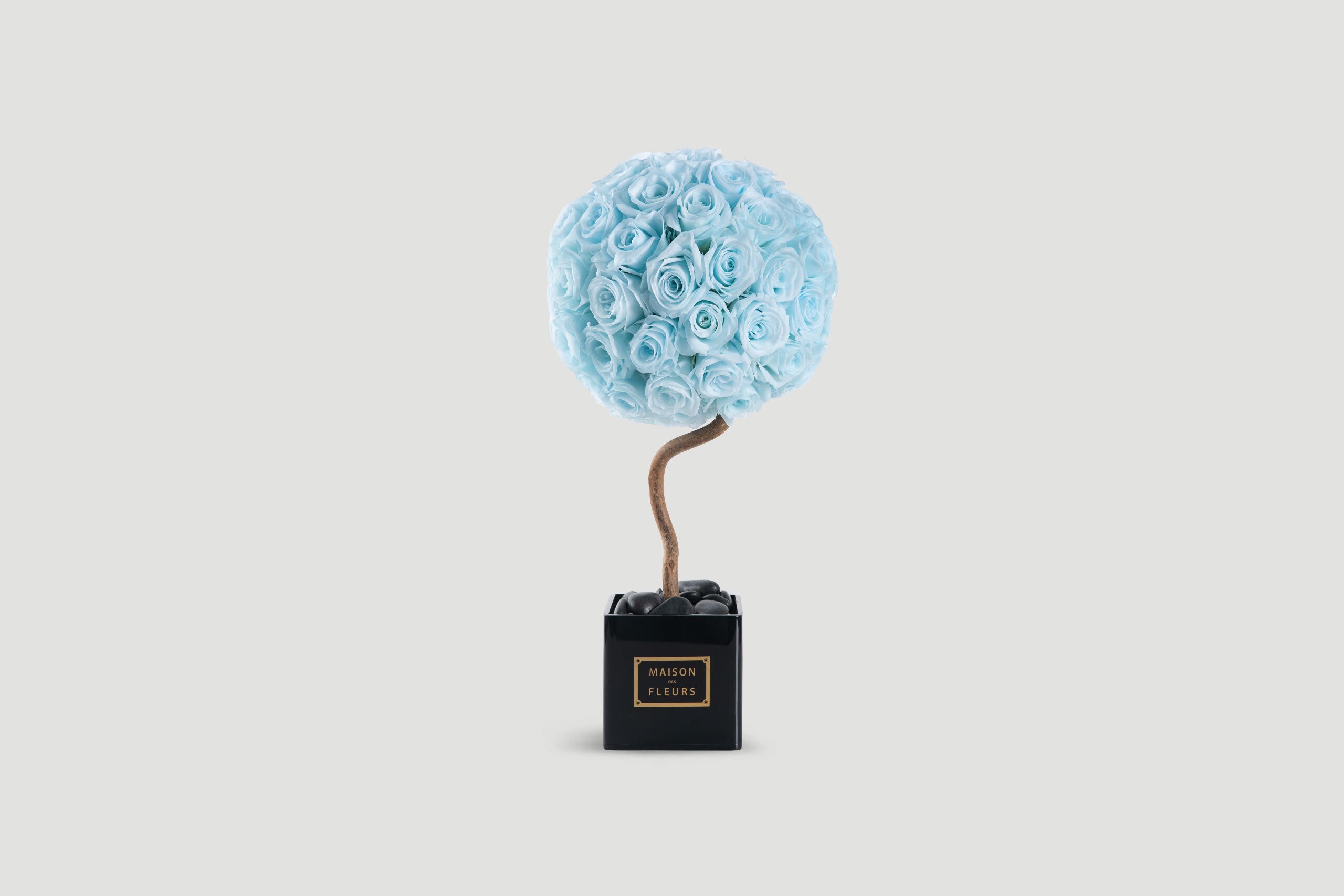 Mini Long Life Topiary