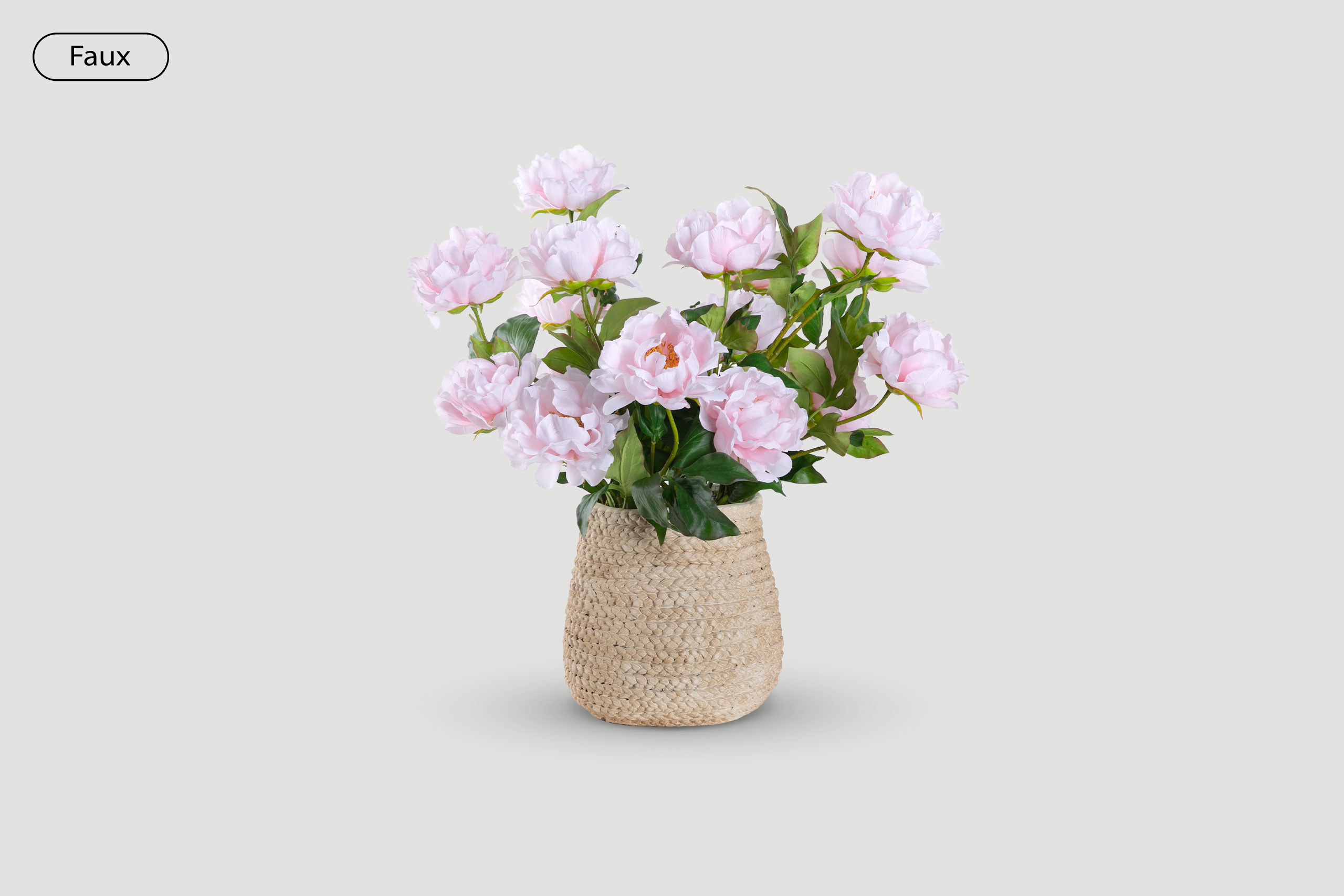 Perfect Peonies