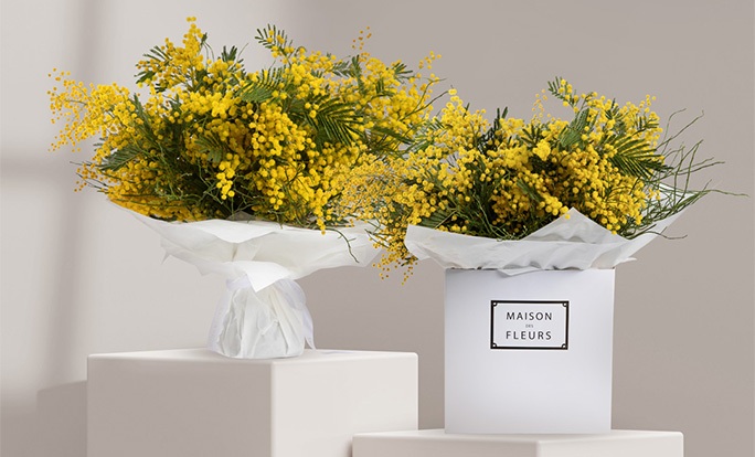 Mimosa Bouquet