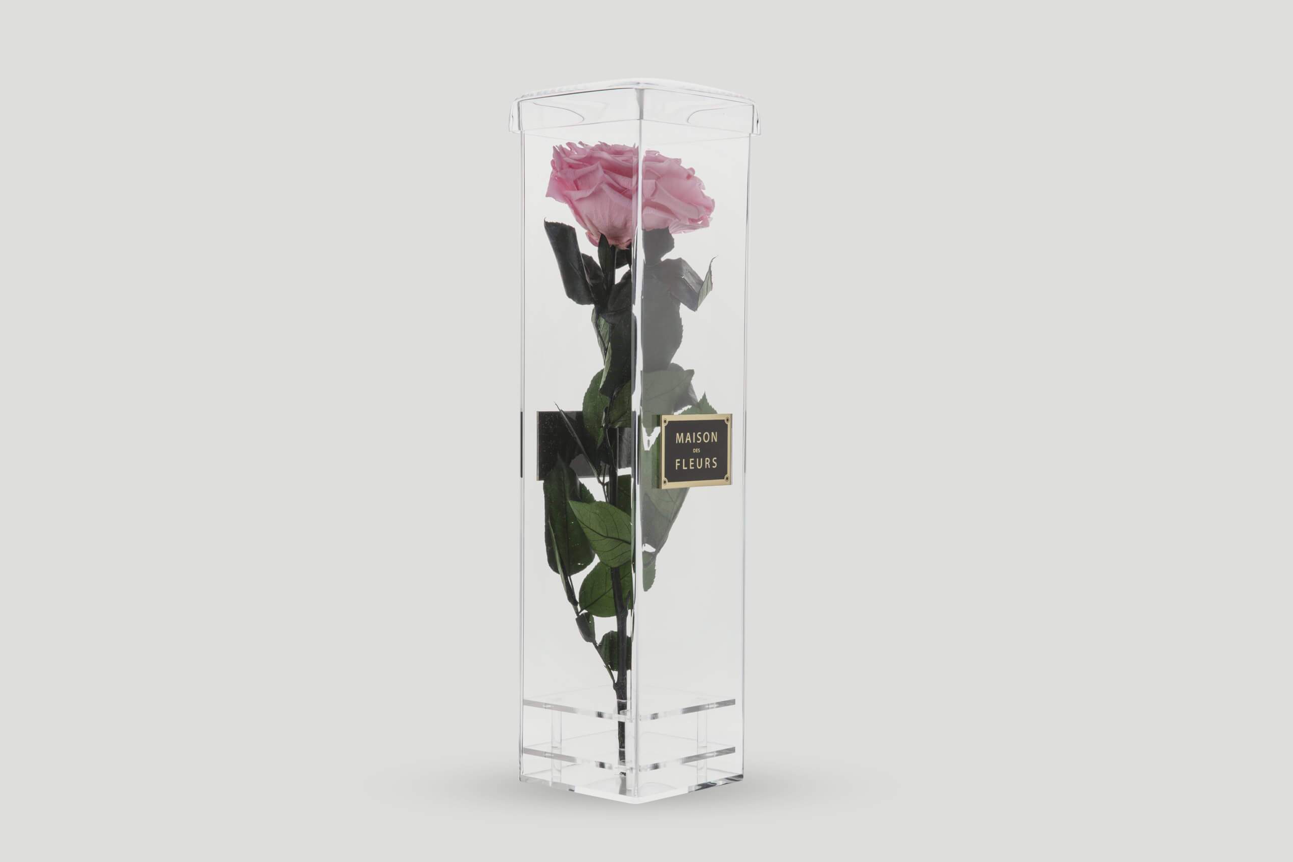 Pink Long Life Rose in an Acrylic Box