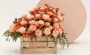 Hidden Meanings Behind Fall Flowers